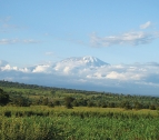 kilimanjaro  Landschaft