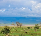 lago Manyara 
